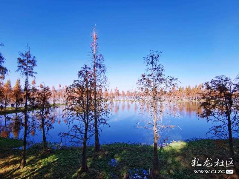占地约24亩!德州城区这一闲置地块将由国企开发商业